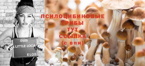 MESCALINE Инта