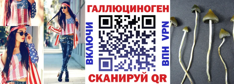 Купить закладки  Вуктыл  Галлюциногенные грибы Cubensis 